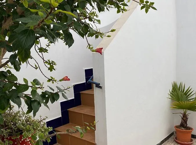 דירה Conil Homes V קוניל דה לה פרונטרה