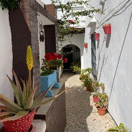 Conil Homes V